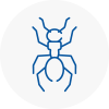 Ant Removals In Yelverton