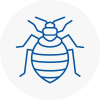 Bed Bug Extermination In Yelverton