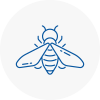 Bee Nest Removal Yelverton