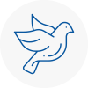 Bird Prevention Yelverton