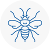 Yelverton Hornet Nest Removals