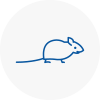 Mice Exterminators In Yelverton