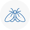 Moth Control Specialists In Yelverton