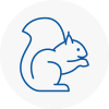 Yelverton Rodent Removals