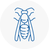 Yelverton Wasp Nest Removal